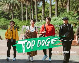 91社区福利《TOP DOG》免费在线观看