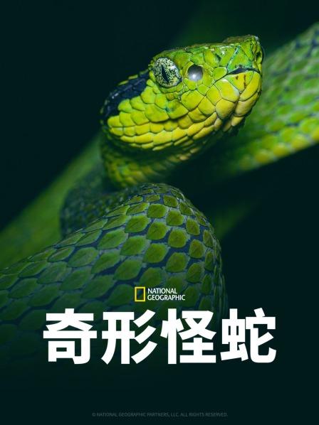 91福利《奇形怪蛇》免费在线观看